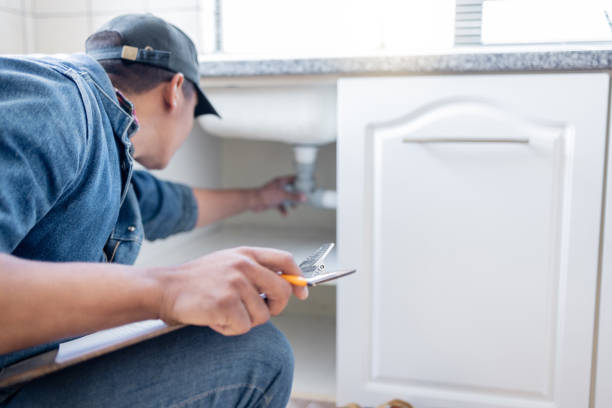 Best Local Plumber Services  in Clarence, IA