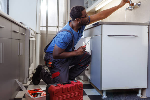 Best 24-Hour Plumber Near Me  in Clarence, IA